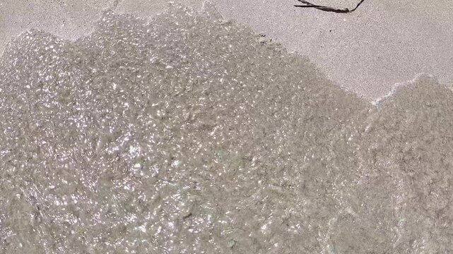 Coraz&oacute;n amor fugaz