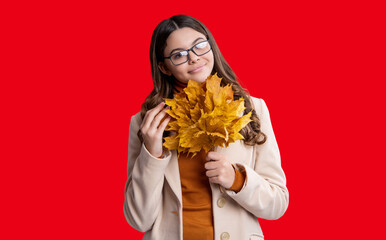 Autumn style. Fallen autumn leaves. September season. Stylish teen girl isolated on red with maple...