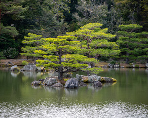 Naklejka premium Japonese garden...