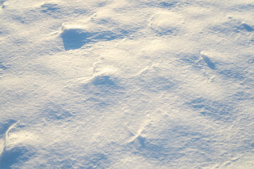 Snow covers the background. Snow fills the background completely. Snow adds beauty to the...