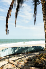 palm trees on the beach with a boat 
