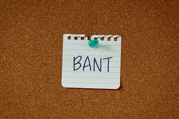 There is a piece of paper with the word BANT. It is an abbreviation for Budget, Authority, Needs, Timeframe as eye-catching image.