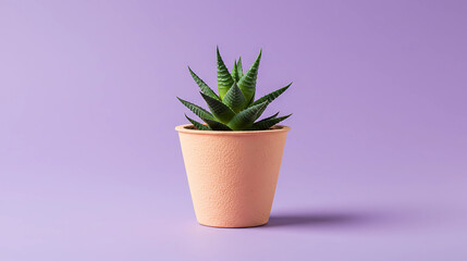 Obraz premium Minimalist Aloe Vera in a Pastel Pot against Soft Purple Background A Calming Indoor Decor