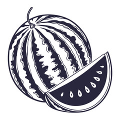 silhouette watermelon on white background