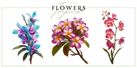 Colorful tropical flowers isolated on a white background. Vintage painting style illustration.