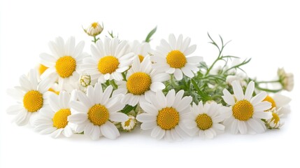 A bouquet of white daisies with yellow centers, arranged on a white background.