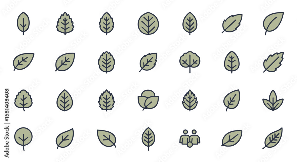 Poster set of vector icons collection of green leaf icons with veins and various shapes. vector illustratio