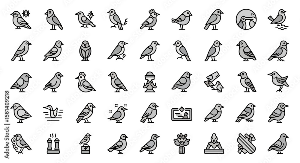 Poster set of vector icons collection of various bird icons in outlined style with different poses and deta