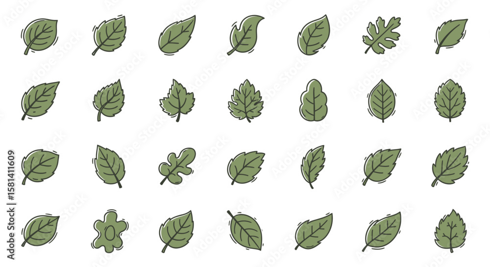 Poster set of vector icons various green leaf illustrations with outlines different shapes and styles. vect