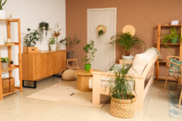 Blurred view of cozy room with plants, sofa and door