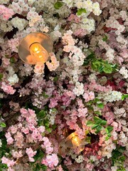 Pink flowers in a roof