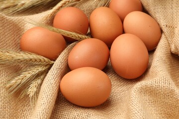 Fresh eggs and spikes on burlap cloth, closeup