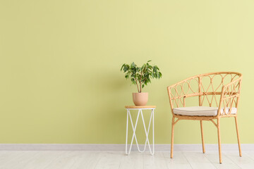 Stylish rattan armchair with houseplant on coffee table near green wall