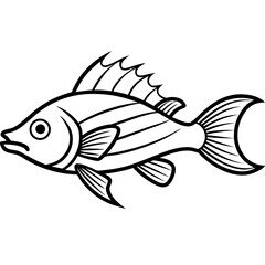 Minimal Hogfish Line Illustration