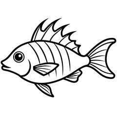 Minimal Hogfish Line Illustration