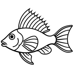 Minimal Hogfish Line Illustration