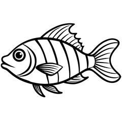 Minimal Hogfish Line Illustration