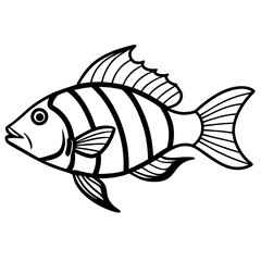 Minimal Hogfish Line Illustration