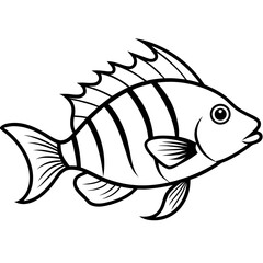 Minimal Hogfish Line Illustration