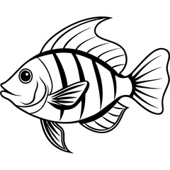 Minimal Hogfish Line Illustration