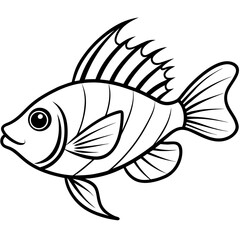 Minimal Hogfish Line Illustration
