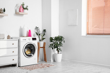 Interior of laundry room with washing machine, shelf and plants