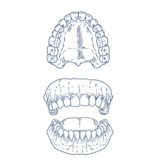 Set of original hand-drawn illustrations of teeth in a minimalist style. illustrations for posters, cards, dental clinics, and graphic design.
