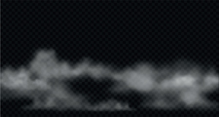 Spooky dark background with smoke, fog on ground, water surface.