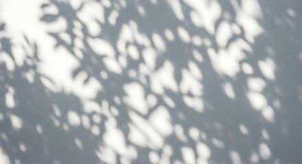 Abstract Leaf Shadows on White Wall - Nature's Delicate Patterns for Serene and Minimalist Design Projects 