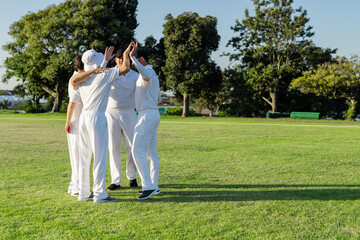 Male cricket teammates wearing white uniforms raising arms and high-fiving on grass field in park