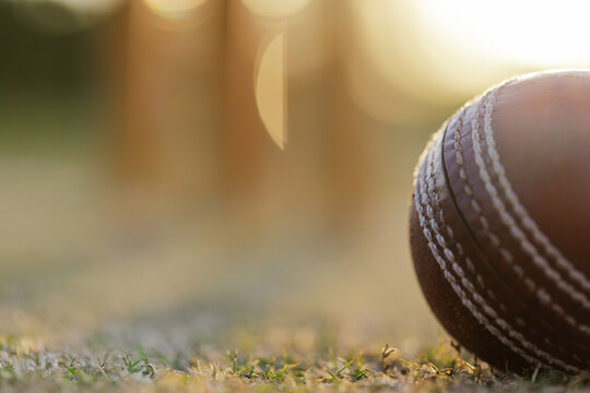 Leather cricket ball resting on short dry grass beside wooden wickets under golden-hour sunlight