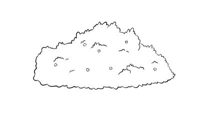 bush digital drawing illustration white background