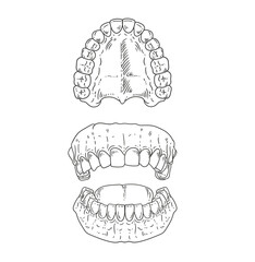 Set of original hand-drawn illustrations of teeth in a minimalist style. illustrations for posters, cards, dental clinics, and graphic design.