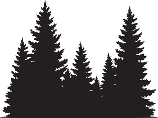 Obraz premium A dense forest of evergreen pine trees against a white background