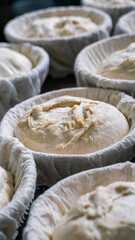 Raw dough rising in cloth baskets in bakery kitchen