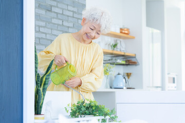 観葉植物に水をやるシニアの女性