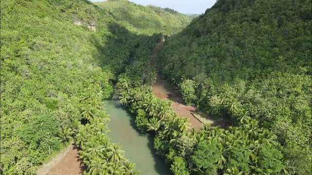 Aerial Maron river in Pacitan, East Java. River flows through a fertile agricultural valley surrounded by forests and coconut trees.