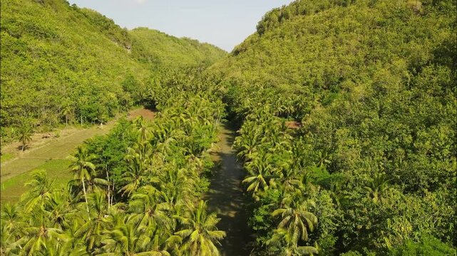 Aerial Maron river in Pacitan, East Java. River flows through a fertile agricultural valley surrounded by forests and coconut trees.