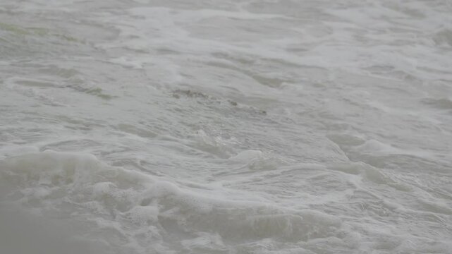 Sea Moss on Coastal Rock Hit by Ocean Waves S-Log3
