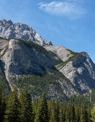 Fototapeta premium Banff National Park: Towering Mountain with Pines at Base and Mid‑Slope. Serene Pine-Lined Mountain Vista in Alberta’s Banff National Park