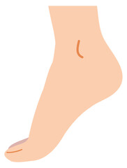 横から見たつま先立ちする足のイラスト