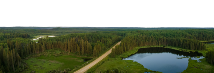 Aerial view of a forested landscape with a small lake and road, and a transparent sky
