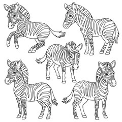 Obraz premium Collection of five cute black and white zebra illustrations in different poses