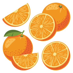 Fresh oranges and slices with green leaf isolated on white background