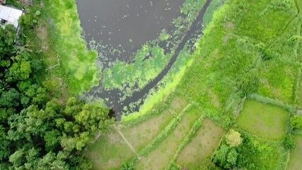 Images of the lush green nature of rural Bengal and the riverine country of Bangladesh