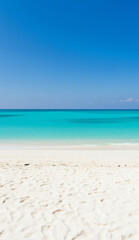 Fototapeta premium Calm and empty tropical beach under vibrant sunny sky
