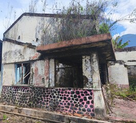 a raw image of a photo of an old building