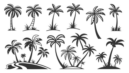 Collection of diverse black silhouette palm trees with various shapes and sizes on a white background
