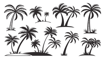 Collection of diverse black silhouette palm trees with varied shapes and sizes on white background
