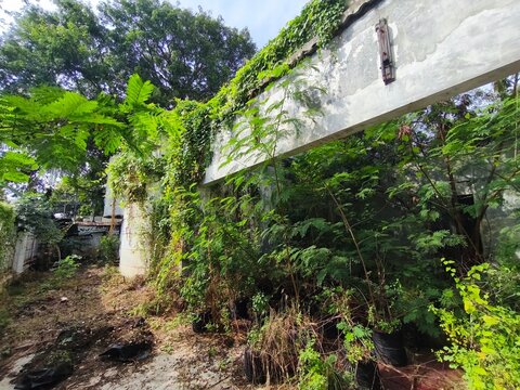 a raw image of a photo of an old building